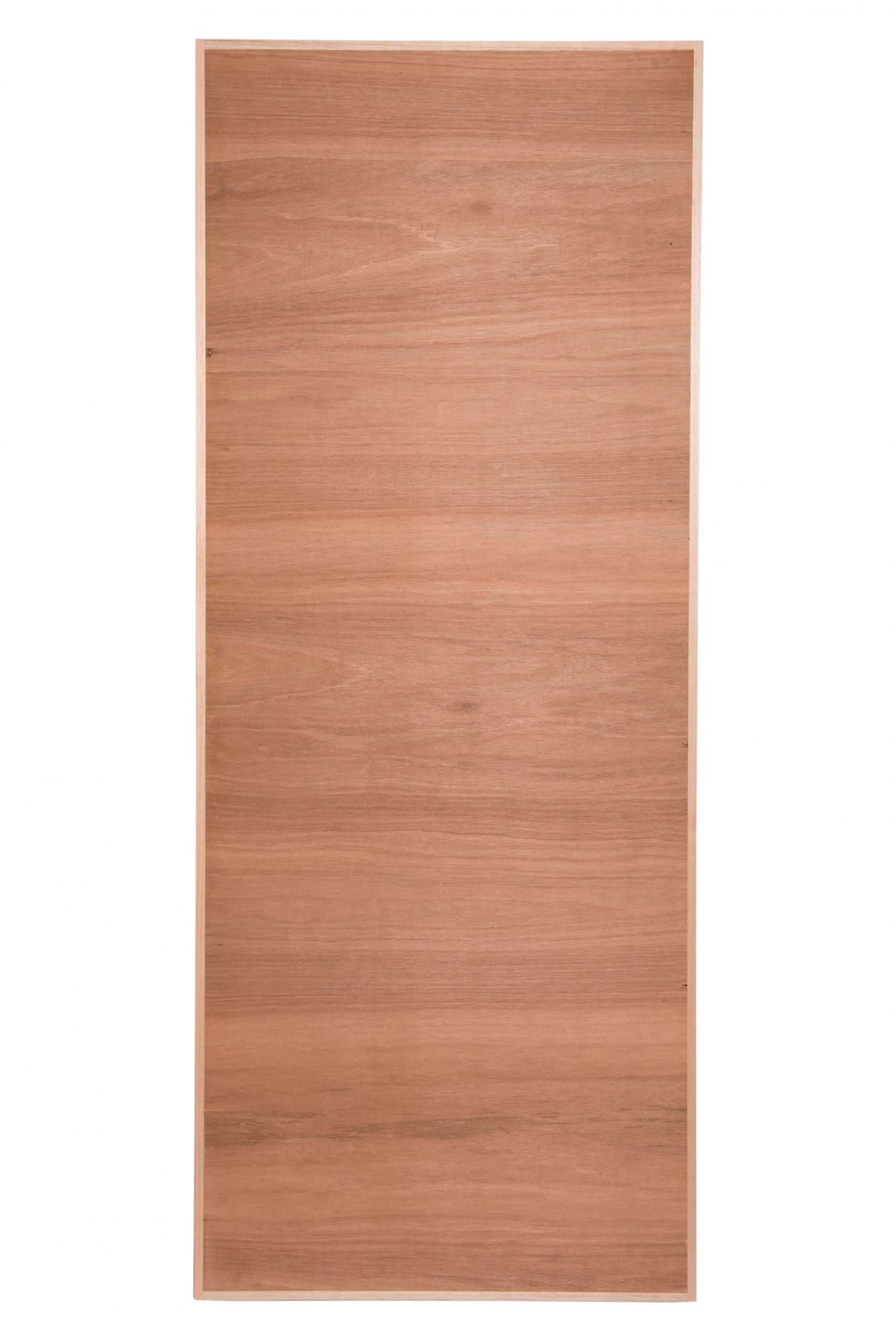 Marine Ply Doors